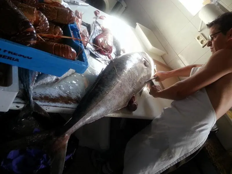 Descarga de un gran atún fresco en la lonja de pescado